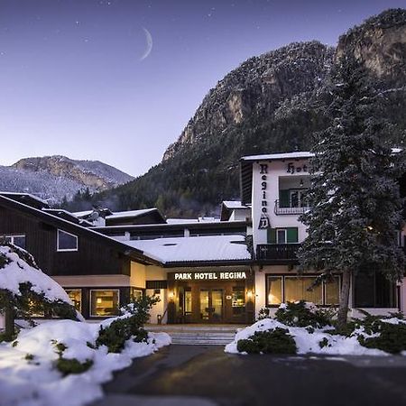 Hotel Regina Delle Dolomiti Panchia Exteriör bild