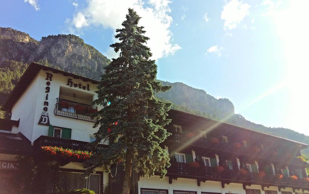 Hotel Regina Delle Dolomiti Panchia Exteriör bild